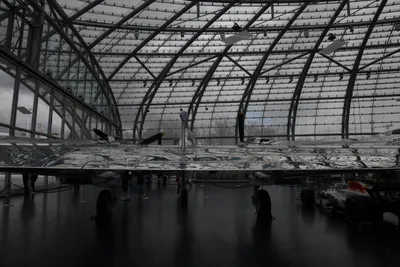 DSC_7089 (Large).JPG